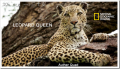 国家地理花豹女王玛娜娜--The leopard queen Manana
